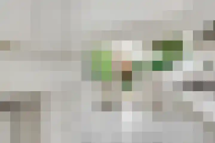 Borneolaan 12 Hilversum thumbnail 23