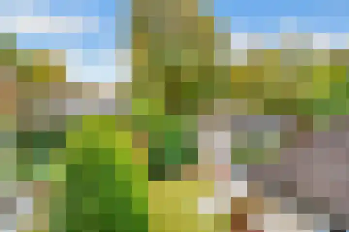 Borneolaan 12 Hilversum thumbnail 27