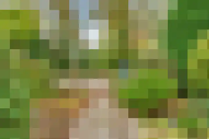 Borneolaan 12 Hilversum thumbnail 4