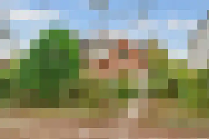 Borneolaan 12 Hilversum thumbnail 40
