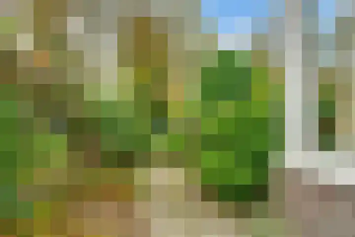 Borneolaan 12 Hilversum thumbnail 42