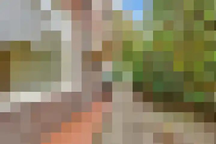 Borneolaan 12 Hilversum thumbnail 43