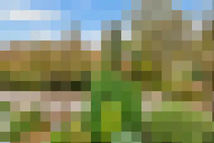 Borneolaan 12 Hilversum thumbnail 44