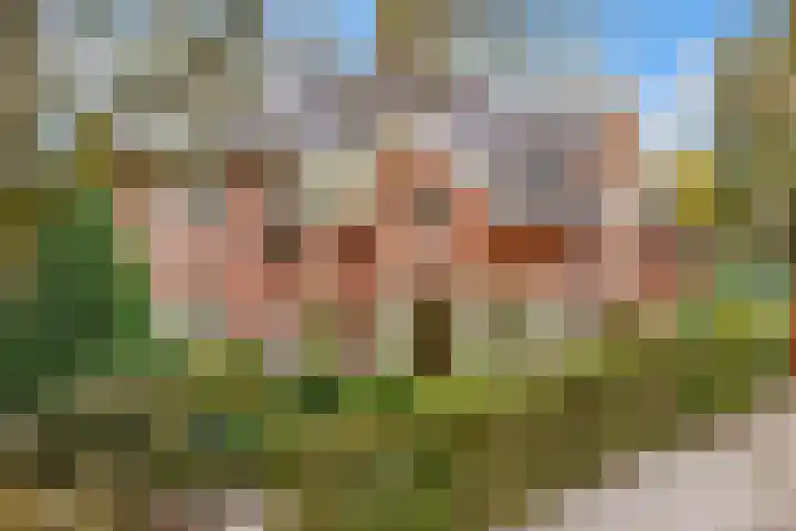 Borneolaan 12 Hilversum thumbnail 46