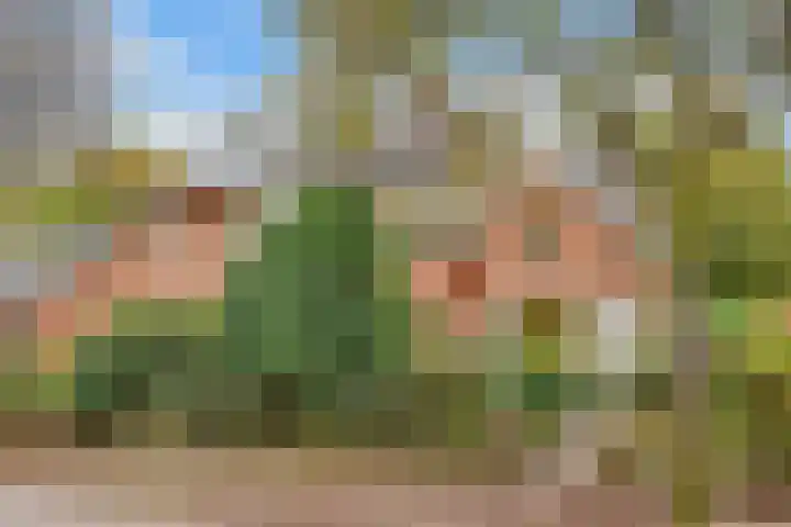 Borneolaan 12 Hilversum thumbnail 47
