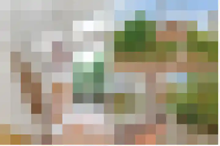 Borneolaan 12 Hilversum thumbnail 5