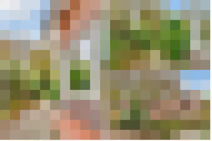 Borneolaan 12 Hilversum thumbnail 6
