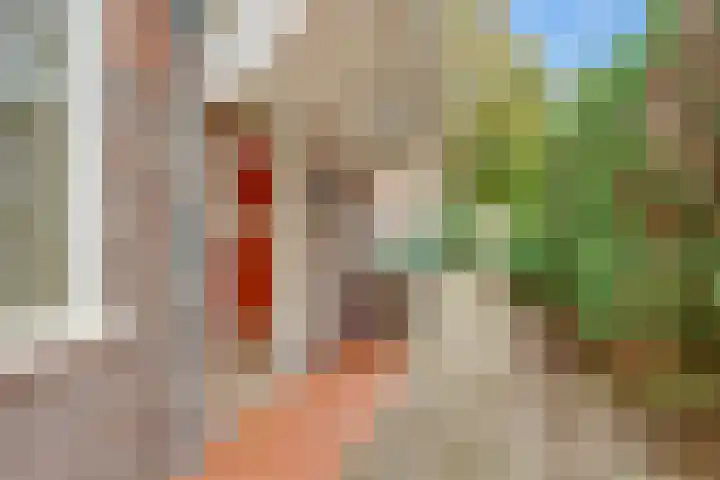 Borneolaan 12 Hilversum thumbnail 8