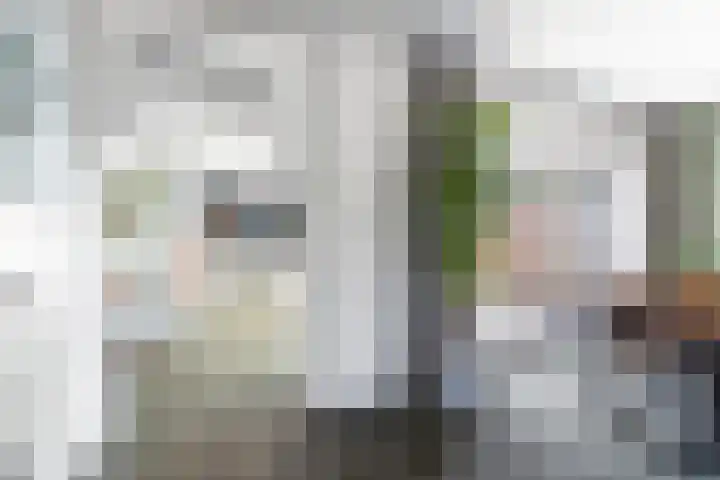 Borneolaan 15 Ede thumbnail 10