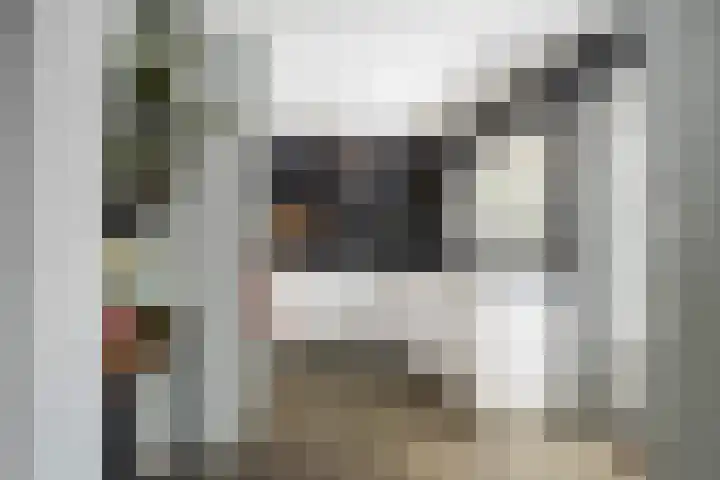 Borneolaan 15 Ede thumbnail 11