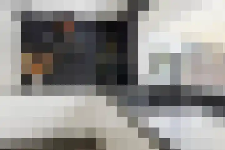 Borneolaan 15 Ede thumbnail 13