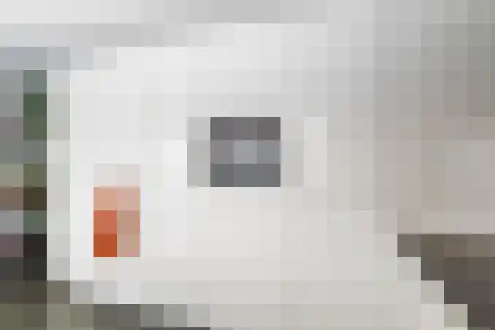 Borneolaan 15 Ede thumbnail 14