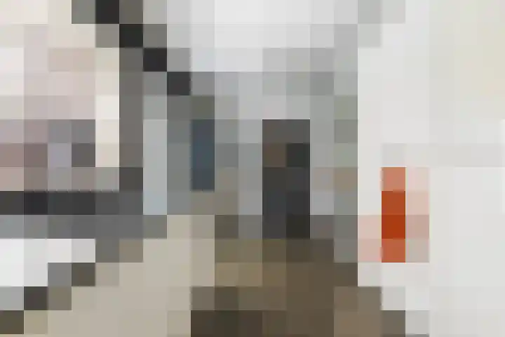 Borneolaan 15 Ede thumbnail 15
