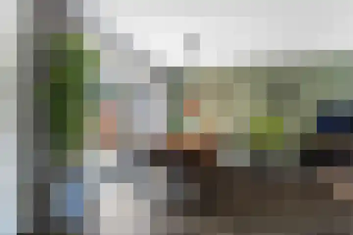 Borneolaan 15 Ede thumbnail 18