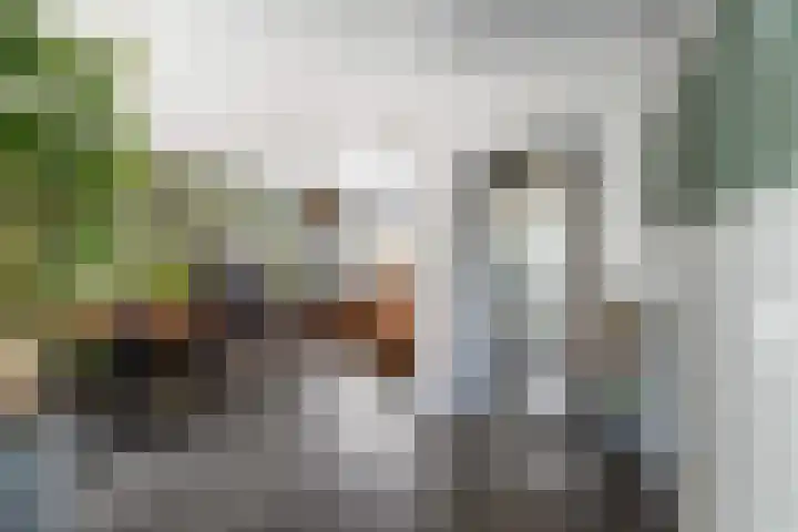 Borneolaan 15 Ede thumbnail 19