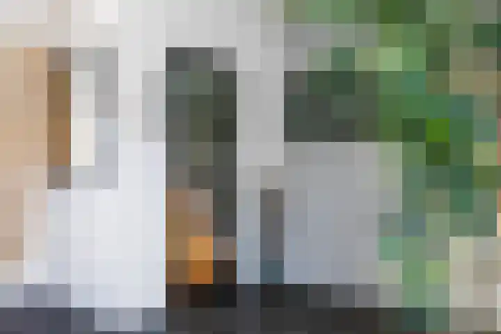 Borneolaan 15 Ede thumbnail 20