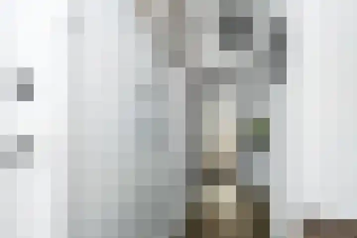 Borneolaan 15 Ede thumbnail 22