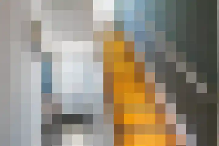 Borneolaan 15 Ede thumbnail 23