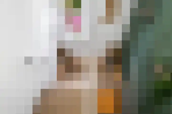 Borneolaan 15 Ede thumbnail 24