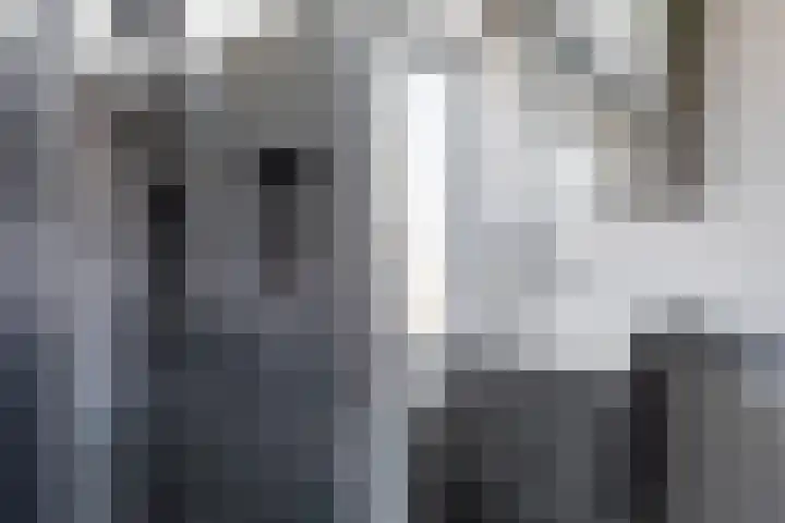 Borneolaan 15 Ede thumbnail 28