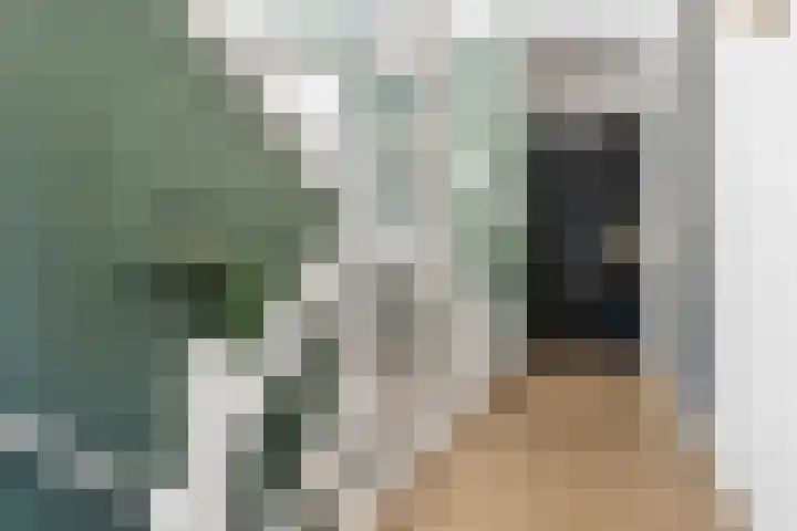 Borneolaan 15 Ede thumbnail 31