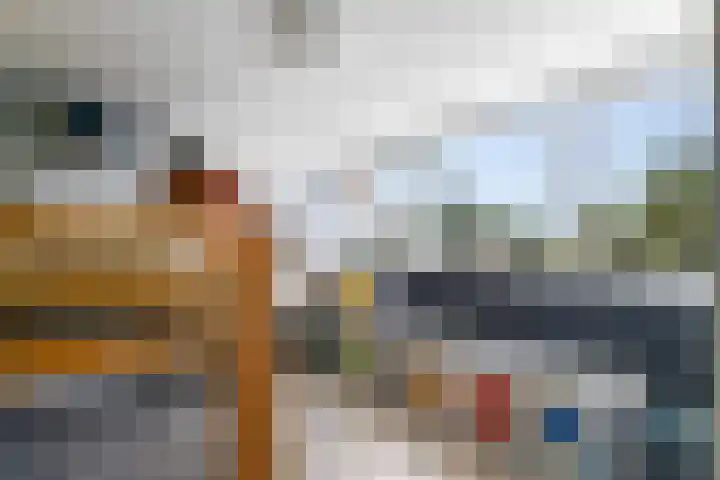 Borneolaan 15 Ede thumbnail 33