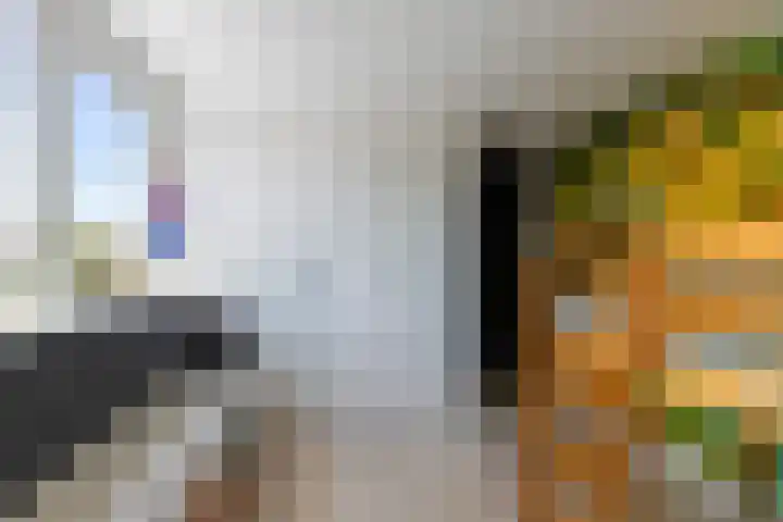 Borneolaan 15 Ede thumbnail 34
