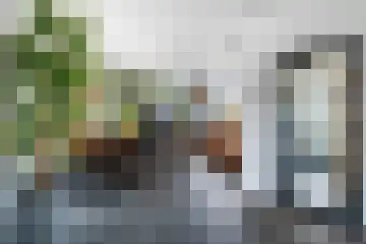 Borneolaan 15 Ede thumbnail 4