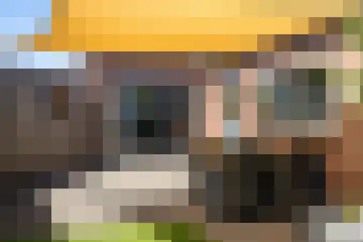 Borneolaan 15 Ede thumbnail 41