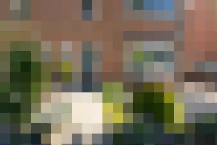 Borneolaan 15 Ede thumbnail 43