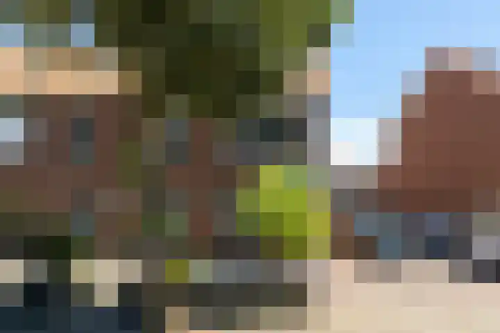 Borneolaan 15 Ede thumbnail 47