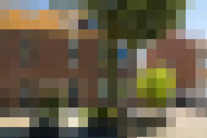 Borneolaan 15 Ede thumbnail 48