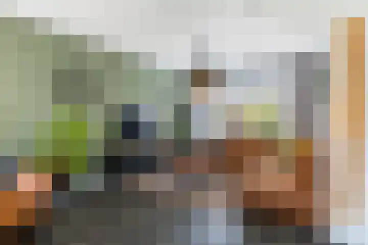 Borneolaan 15 Ede thumbnail 5