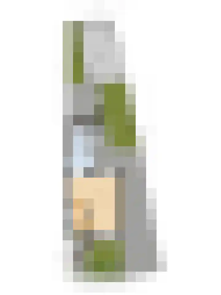 Borneolaan 15 Ede thumbnail 50