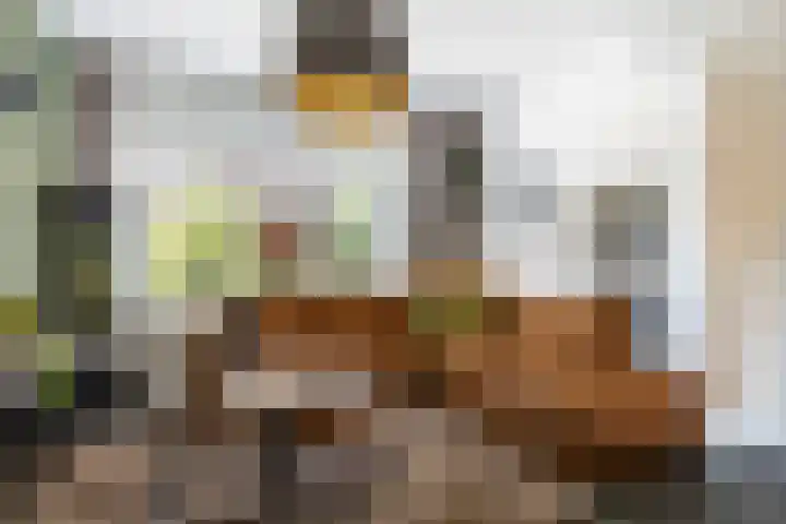 Borneolaan 15 Ede thumbnail 6