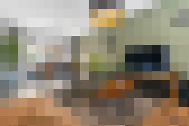 Borneolaan 15 Ede thumbnail 7