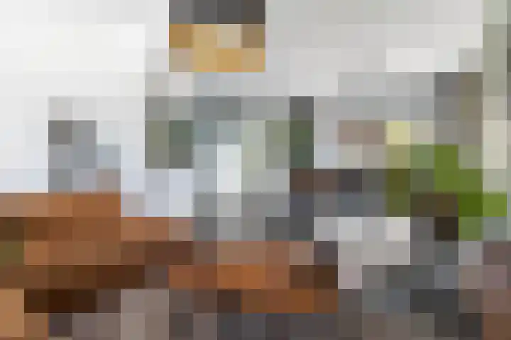 Borneolaan 15 Ede thumbnail 8