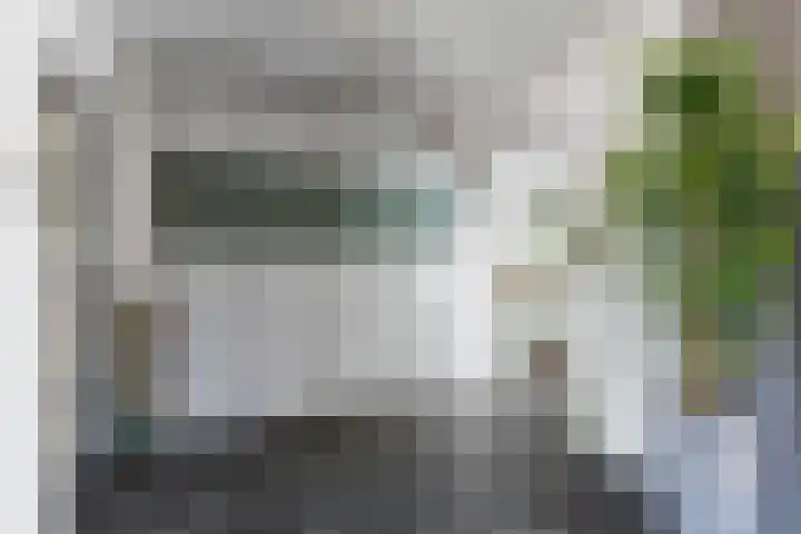 Borneolaan 15 Ede thumbnail 9