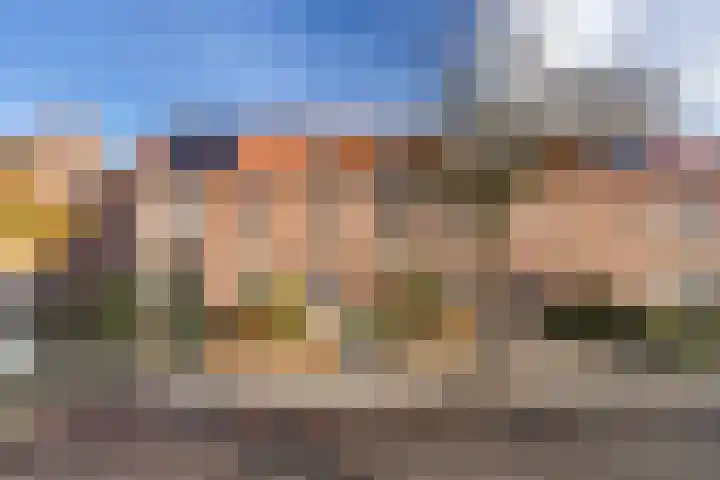 Borneolaan 19 Ede