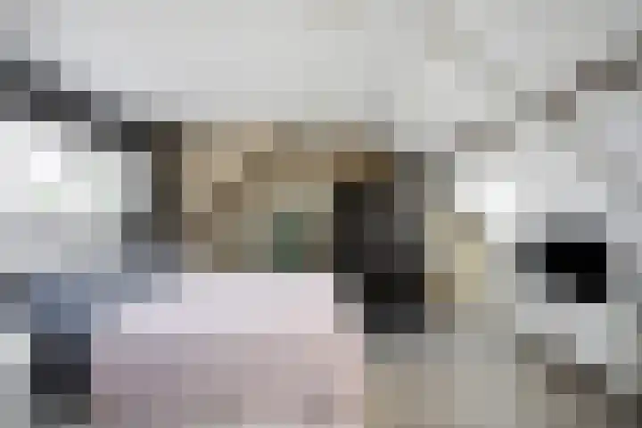 Borneolaan 19 Ede thumbnail 16