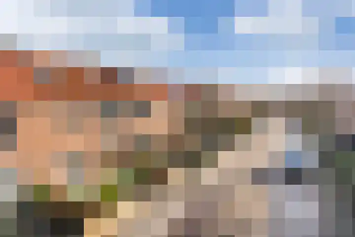 Borneolaan 19 Ede thumbnail 23