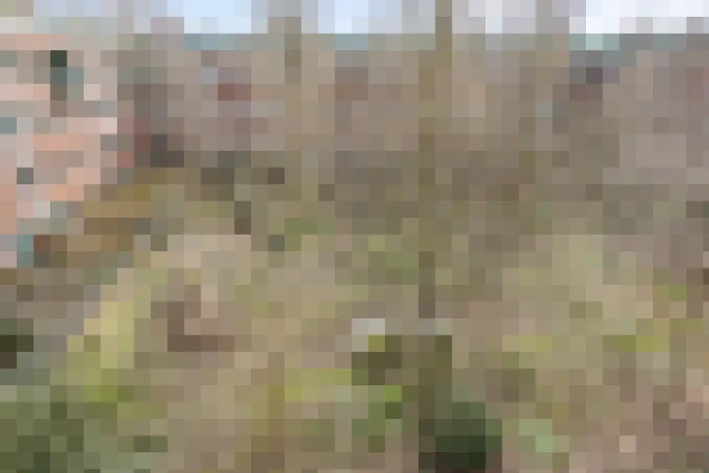 Borneolaan 191 Amsterdam thumbnail 10