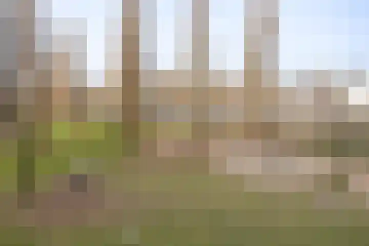 Borneolaan 191 Amsterdam thumbnail 34