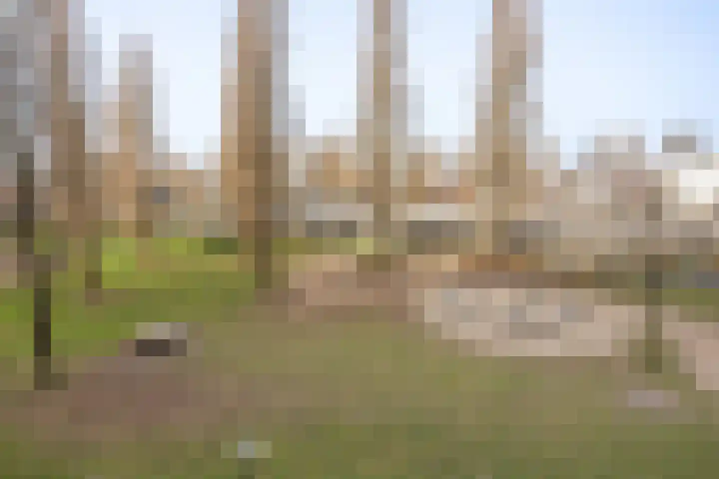 Borneolaan 191 Amsterdam thumbnail 34