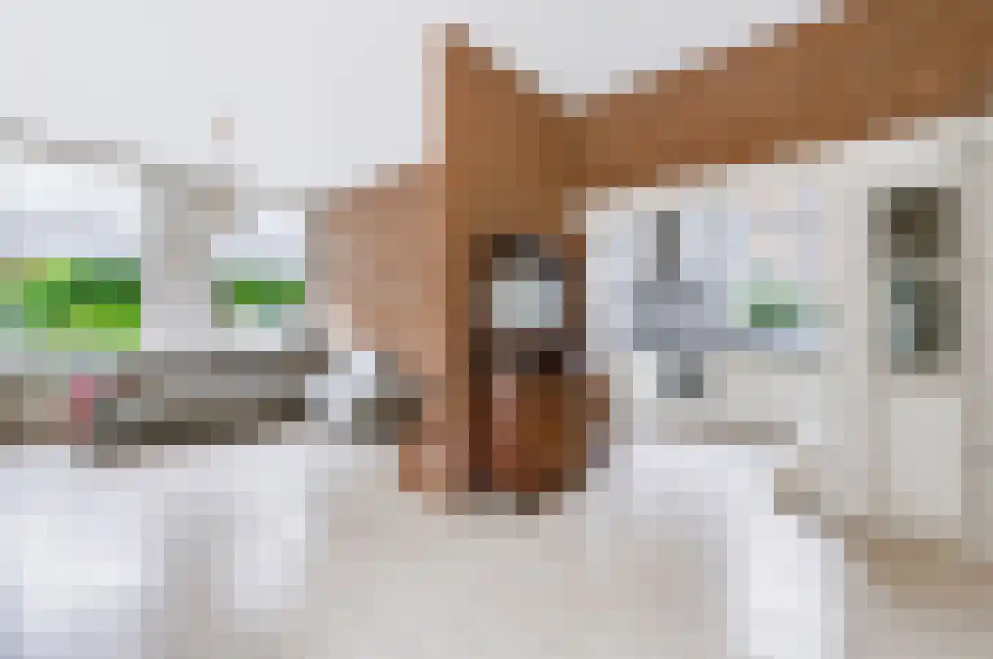 Borneolaan 2 Apeldoorn thumbnail 10