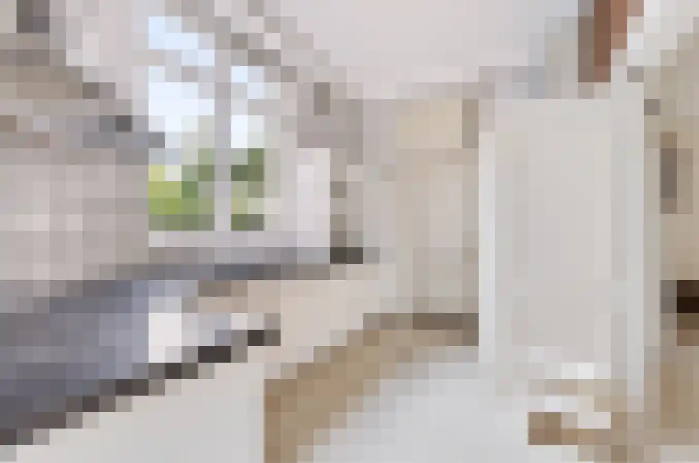Borneolaan 2 Apeldoorn thumbnail 12
