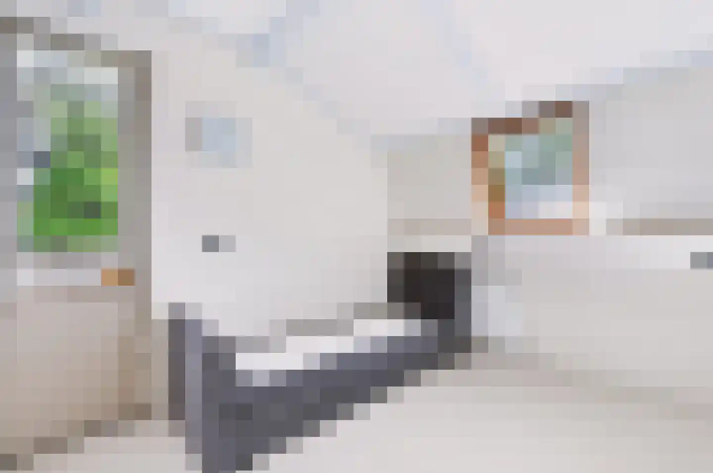 Borneolaan 2 Apeldoorn thumbnail 15