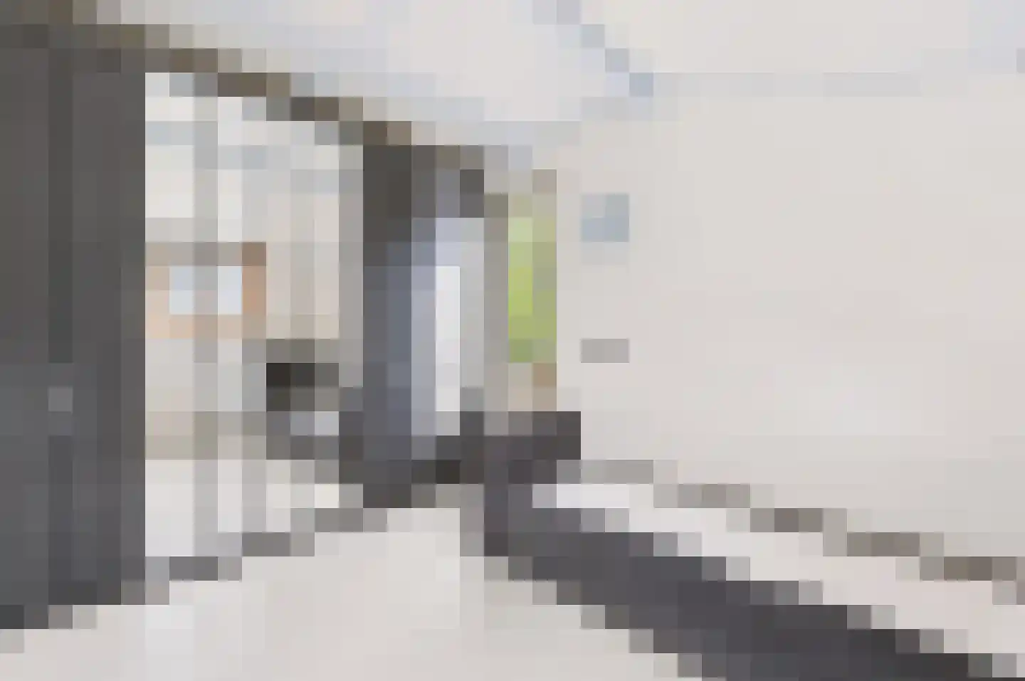 Borneolaan 2 Apeldoorn thumbnail 16