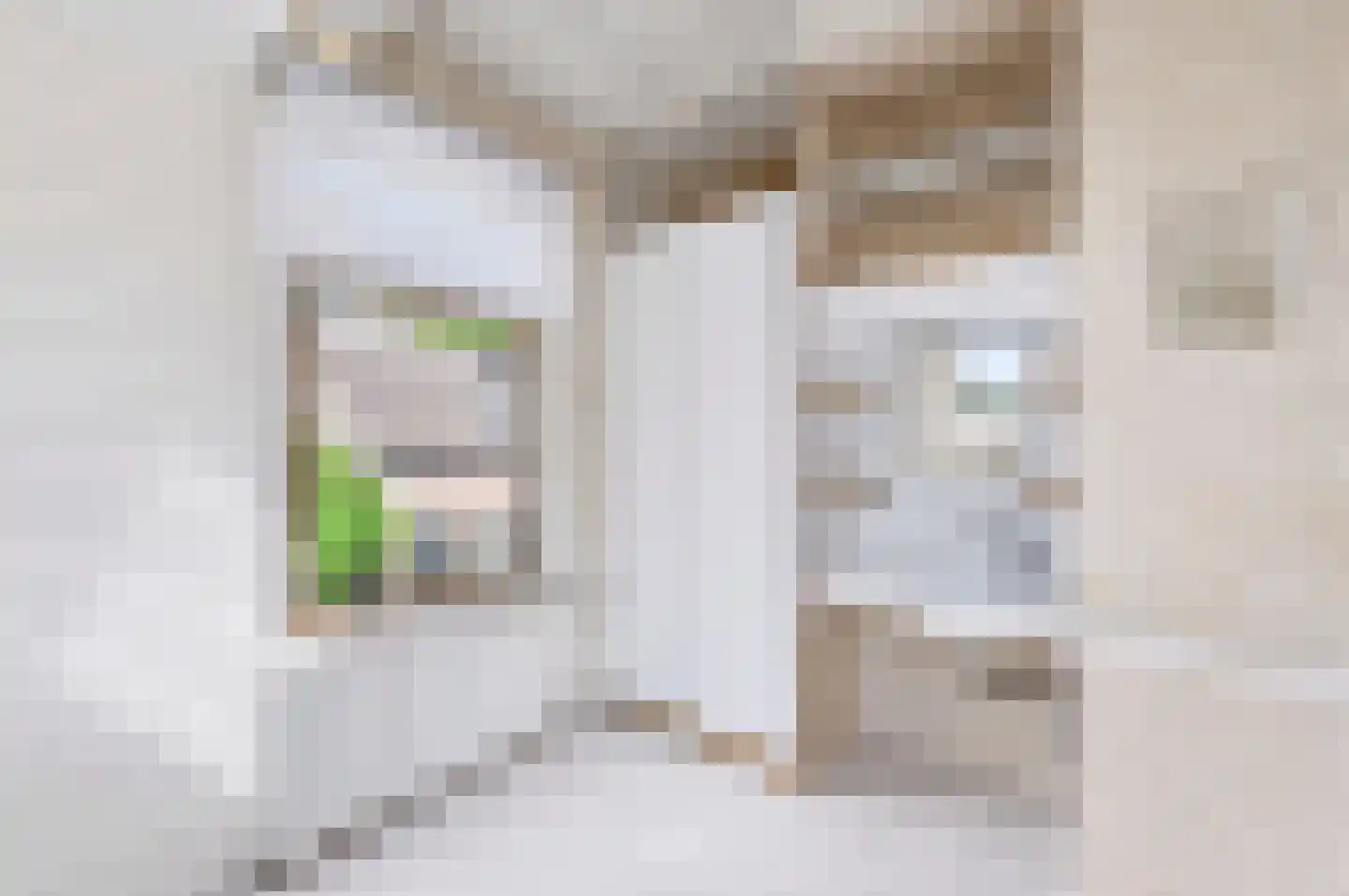 Borneolaan 2 Apeldoorn thumbnail 20