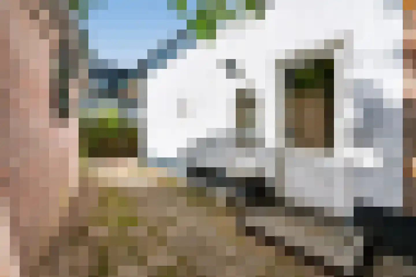 Borneolaan 2 Apeldoorn thumbnail 22